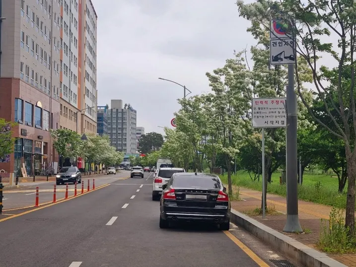 야당동 소리천로 탄력적 주정차 허용구간 운영