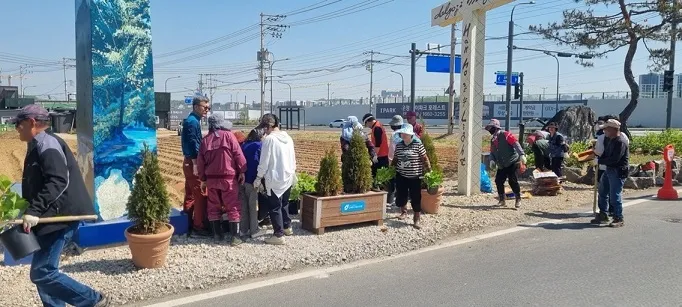 교하 서패동, 돌곶이 마을정원 수국·꽃 잔디로 활짝!