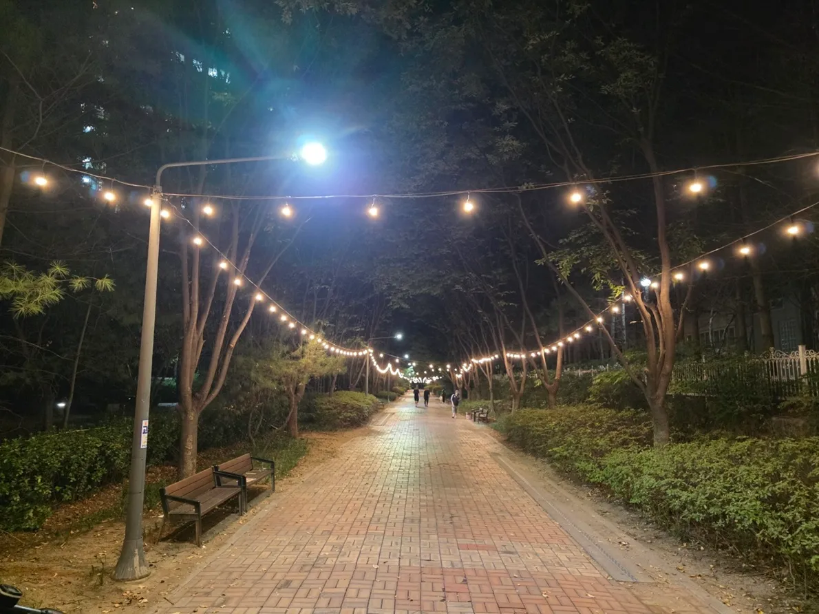 운정1동, 가람길 사잇길 조명 정비 완료